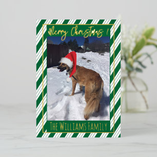 Green Stripes Single Dog Photo Foil Carte de vacan