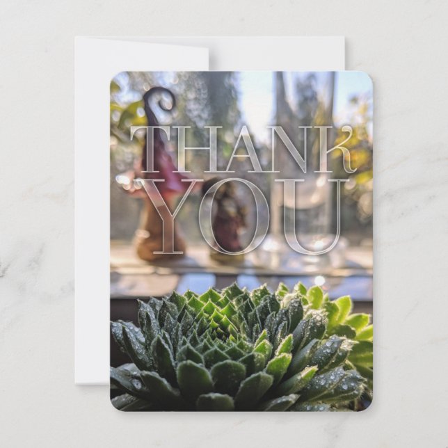 Green Succulent Nature theme Vielen Dank Dankeskarte (Vorderseite)