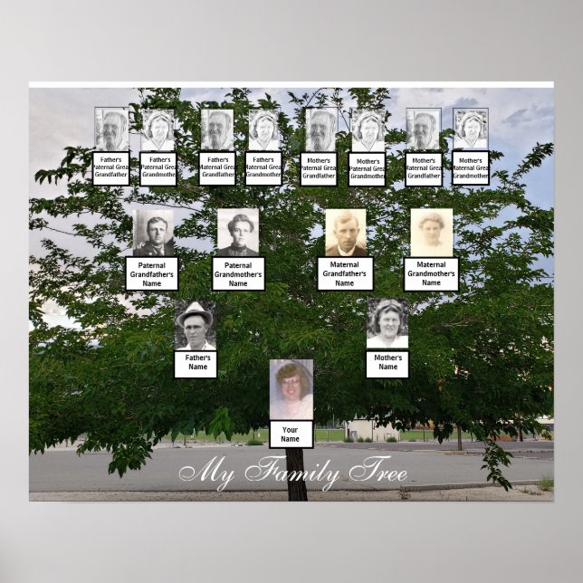 Green Summer Family Tree Foto Poster (Vorne)