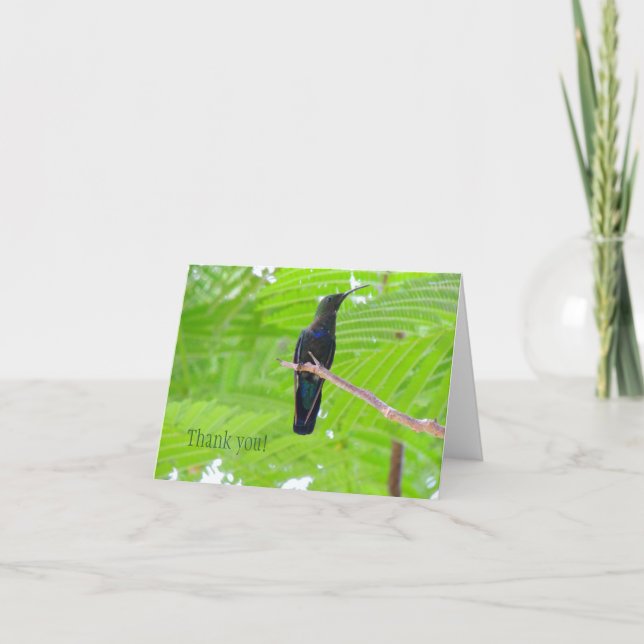 Green Throated Carib Hummingbird Note Card Dankeskarte (Vorderseite)