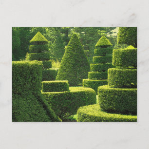 Green Topiary - Carte postale