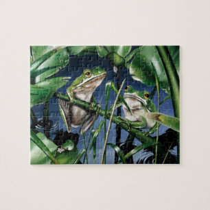 Green Tree Frog Puzzle