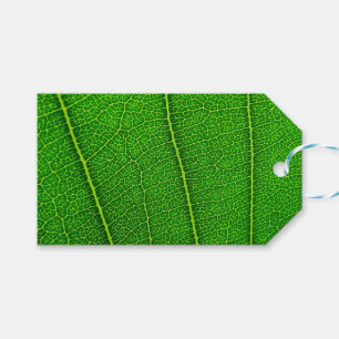 Green Tree Leaf Geschenkanhänger