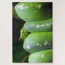 Green Tree Python