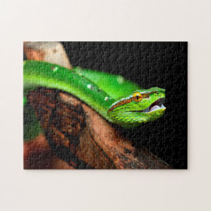 Green Tree Python, Jigsaw Puzzle