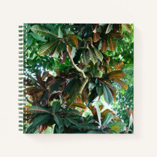 Green Tropical Jungle Notebook Notizbuch
