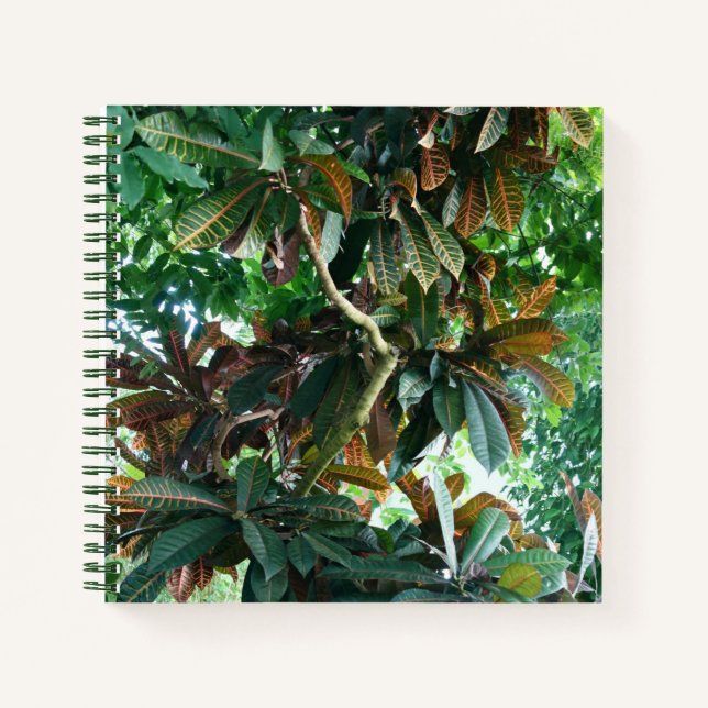 Green Tropical Jungle Notebook Notizbuch (Vorderseite)