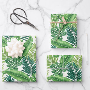 Green Tropical Palm Banana Monstera Feuille