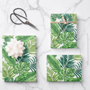 Green Tropical Palm Banana Monstera Feuille