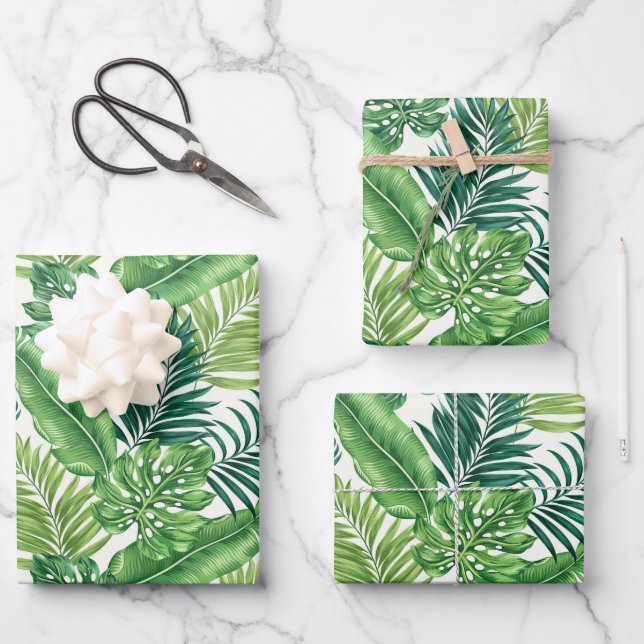 Green Tropical Palm Banana Monstera Feuille (Recto)