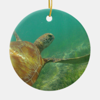 Green-turtle-Great-Barrier-Reef.JPG Keramikornament