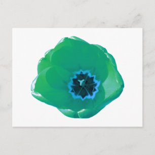 Green und Blue Tulip Postcard Postkarte