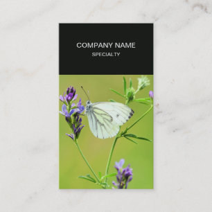 Green Veined White Butterfly Visitenkarte