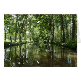 Green Venice Coulon Frankreich