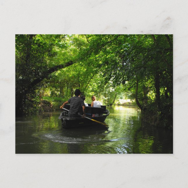 Green Venice Coulon Frankreich Postkarte (Vorderseite)