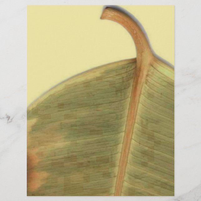 Green Verlass Flyer (Vorne)