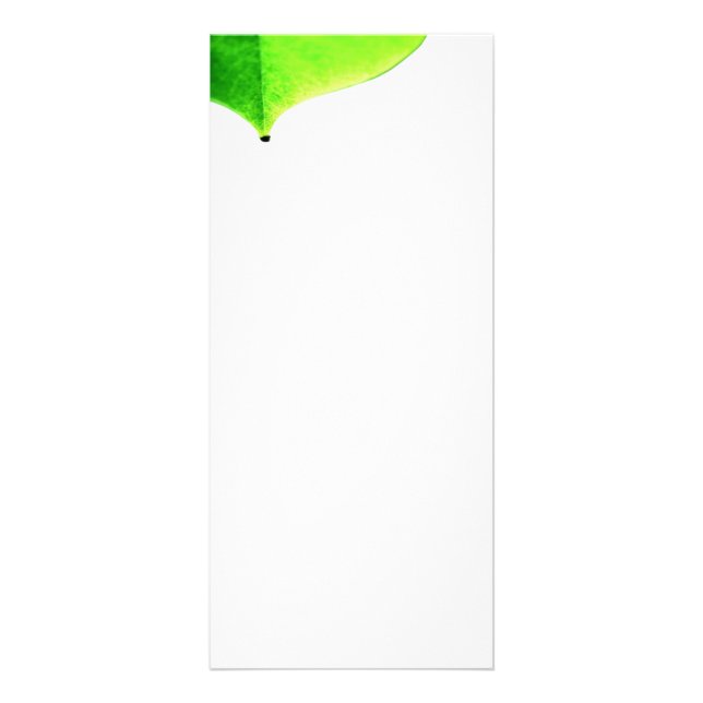 Green Verlass Rack Card Werbekarte (Vorne)