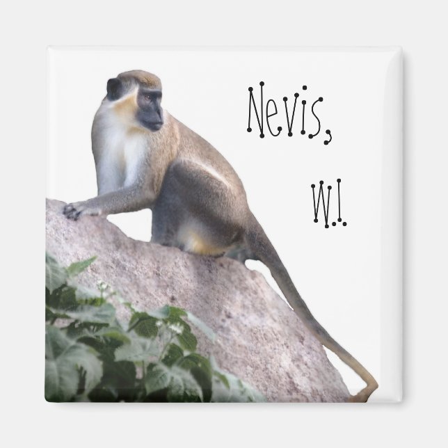 Green Vervet Monkey Magnet (Vorne)