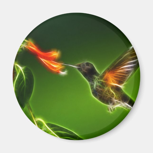 Green Violetear Hummingbird Magnet (Vorne)