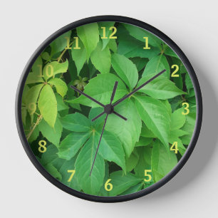 Green Virginia Strampler Foliage Foto Uhr