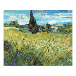 Green Wheat Field Vincent van Gogh Fotodruck