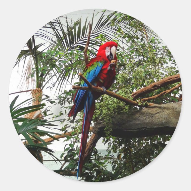 Green-Winged Macaw #4 Stickers (Vorderseite)