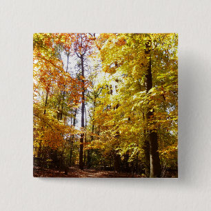 Greenbelt Park im Herbst II Maryland Naturszene Button