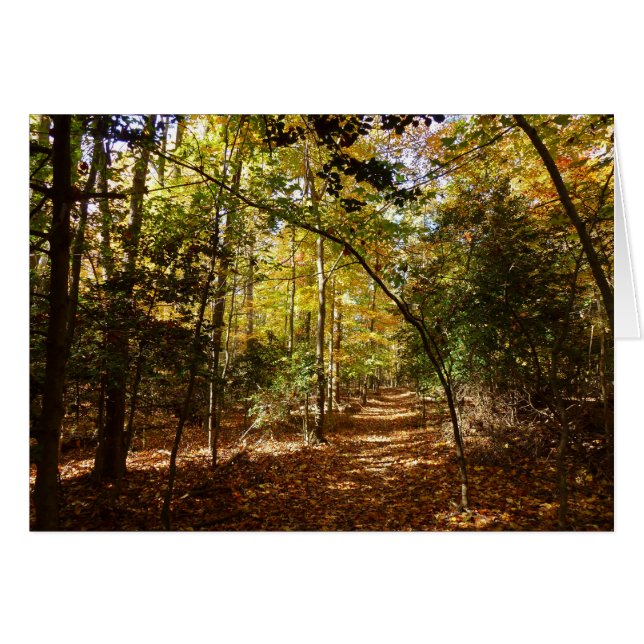 Greenbelt Park in Herbst I Maryland Landschaft (Vorderseite (Horizontal))