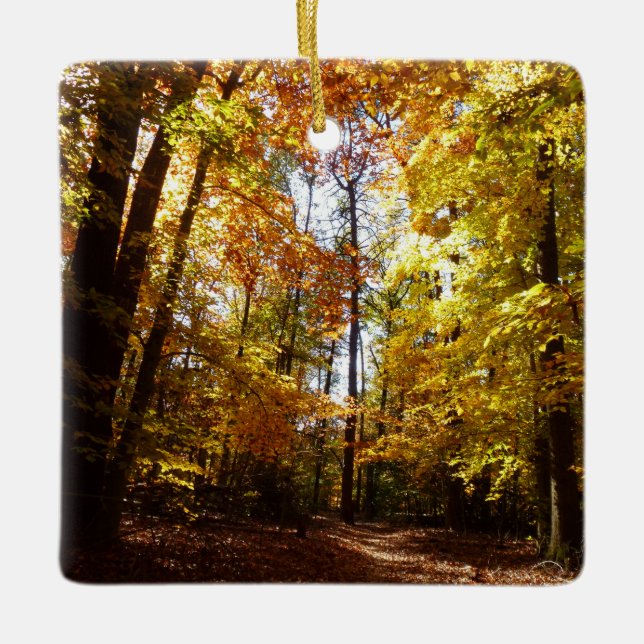 Greenbelt Park in Herbst II Maryland Naturlandscha Keramikornament (Vorderseite)