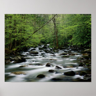 Greenbrier Bereichsbereich, Great Smoky Mountains Poster