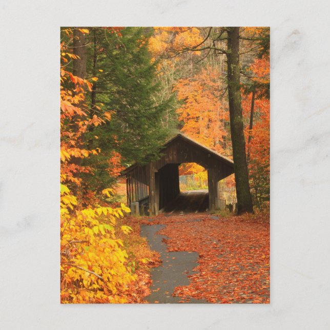 Greenfield Pumpstation Covered Bridge Postkarte (Vorderseite)