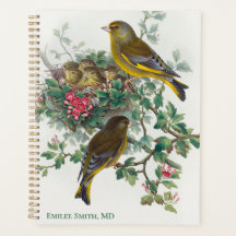 Greenfinch Bird von John Gould Planner