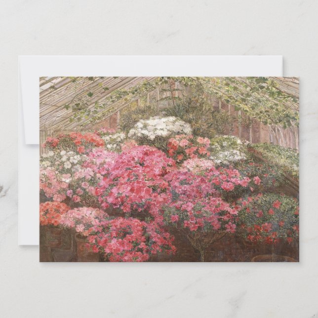 Greenhouse Azaleas | Marie Antoinette Marcotte (Vorderseite)