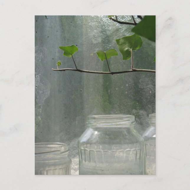 Greenhouse Postcard Postkarte (Vorderseite)