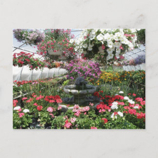 Greenhouse Postcard Postkarte