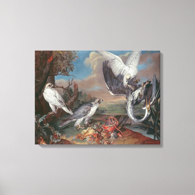 Greenland Cyr Falcons Leinwanddruck (Vorderseite)