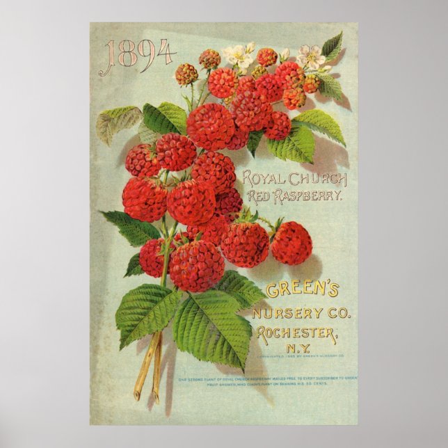 Green's Kinderzimmer Co. Werbung Poster (Vorne)