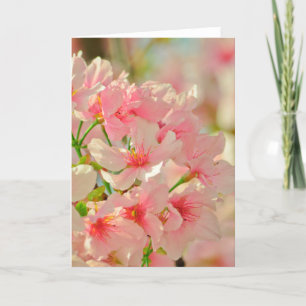 Greeting Card, blank inside Karte