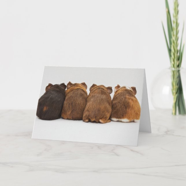 Greeting Card - Guinea Pig Butts Karte (Vorderseite)