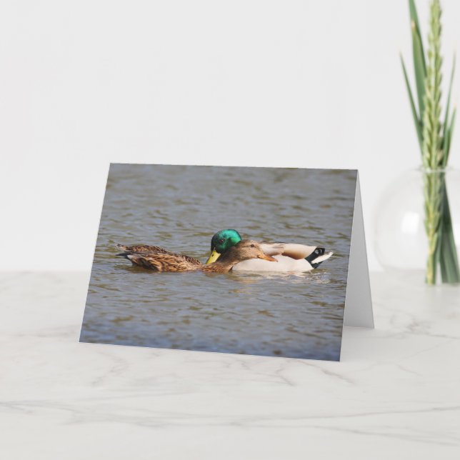 Greeting Card Karte (Vorderseite)