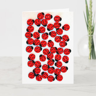 GREETING CARD MIT LADY BUGS KARTE