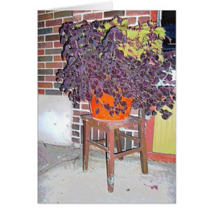 GREETING CARD: Vorsitz in Linden Hills_Card