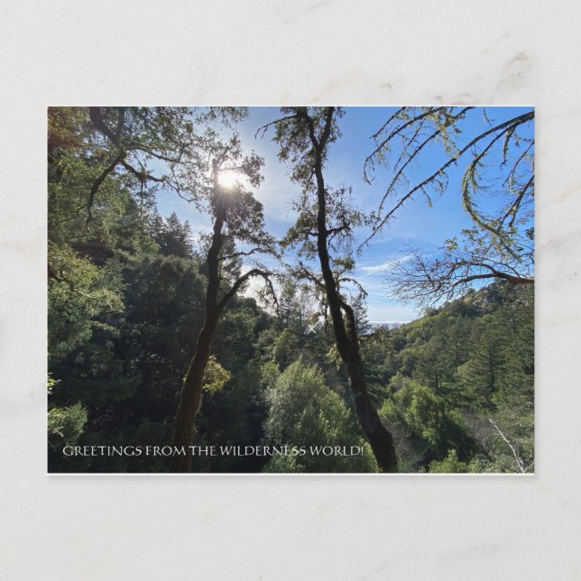 GREETINGS AUS DER WILDERNESS WELT! POSTKARTE (Vorderseite)