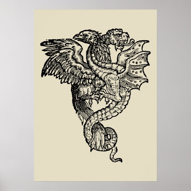 Greif & Drache Poster (Vorne)
