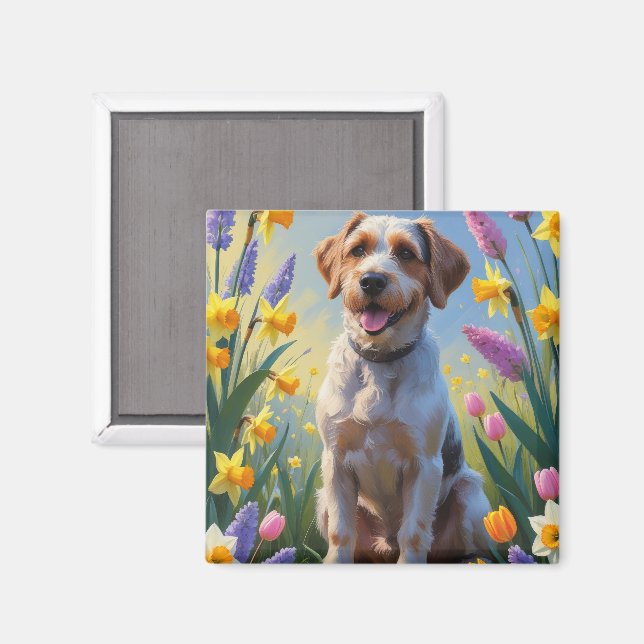 Greifgesichtsblumen aus Griffon-Frühlingsblumen Magnet (Vorderseite/Rückseite)
