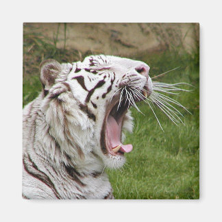 Greiftiger Magnet