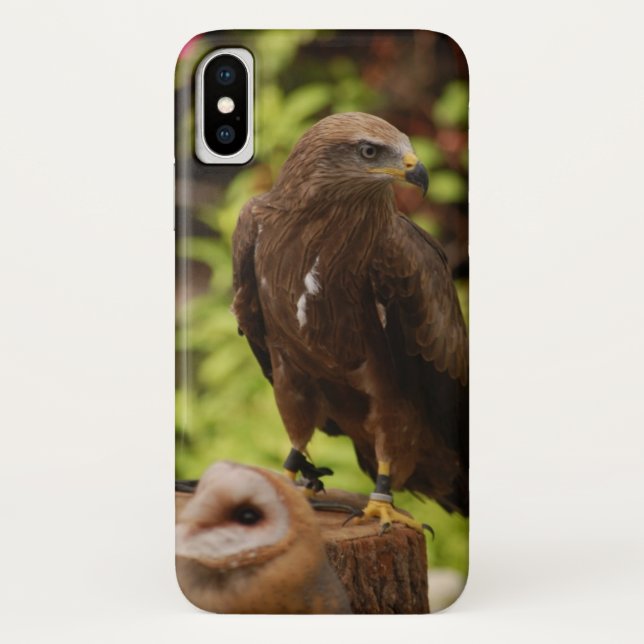 Greifvögel... Case-Mate iPhone Hülle (Rückseite)