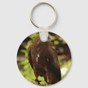 Greifvögel Schlüsselanhänger