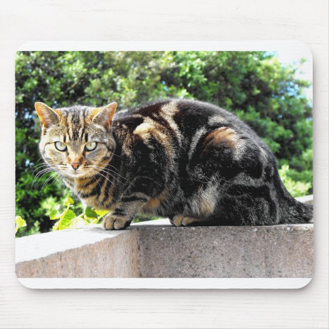 Gremlin-Katze Mousepad (Vorne)