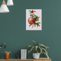 Grenade (Pomegranate) von Pierre Redout
